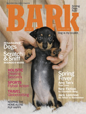 bark dog magazine