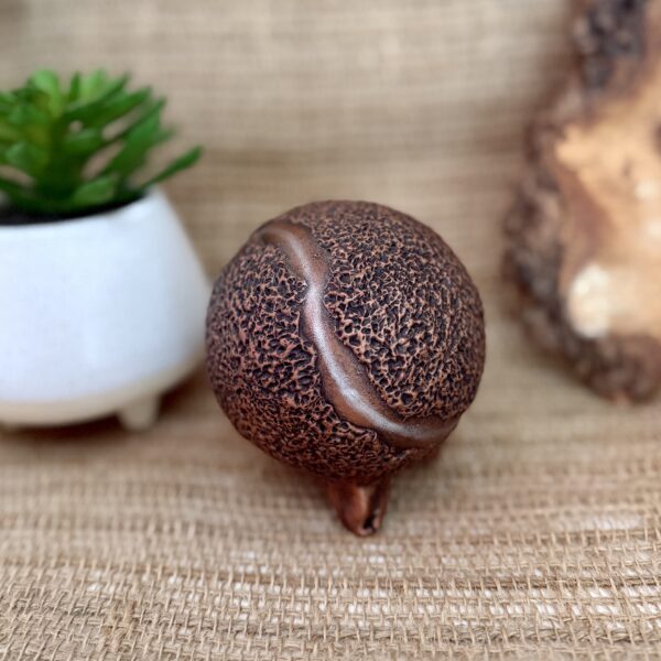 Readymade Tennis Ball Pet Urn - Small - Image 6