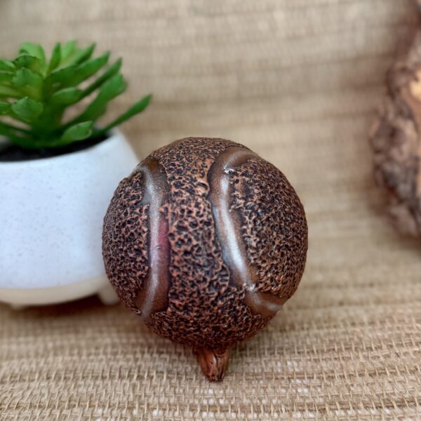 Readymade Tennis Ball Pet Urn - Small - Image 5